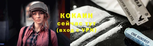 а пвп мука Абаза